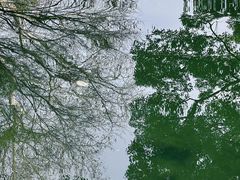 -杭州植物园
