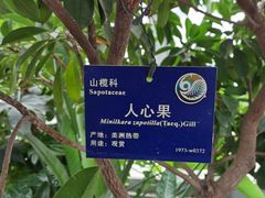 -国家植物园南园