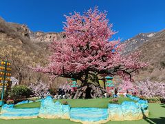 -河南宝泉旅游区