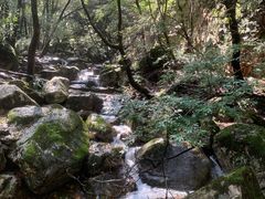 -驼梁风景区
