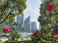 -北外滩滨江绿地