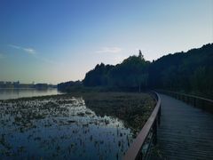 -长广溪湿地公园