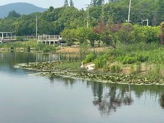 -佛手湖郊野公园