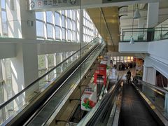 -大润发(康桥店)