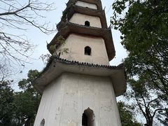 -江心屿景区