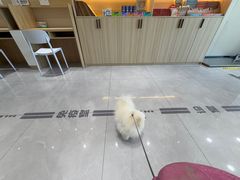 -瑞派宠物医院·CT影像中心·猫友好医院(奥城店)