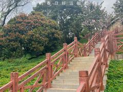 -广州市石门国家森林公园