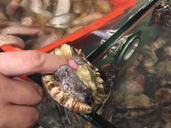 鲍鱼-船奇蒸汽海鲜·闽菜(八市海鲜总店)