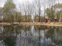 -长白岛森林公园