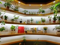 -十二舍·湯物素煮(江泰潤政店)