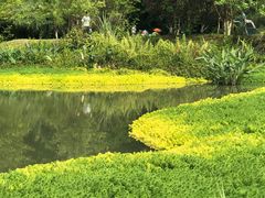 -桤木河湿地公园