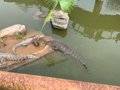 -南昌动物园