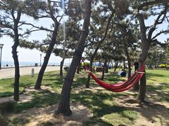 -日照灯塔风景区