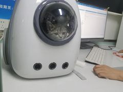 -达爱动物医院·犬猫分区·CT·复杂眼科(远洋山水分院)