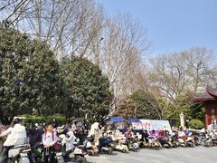 -堤角公园