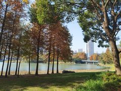 -尚贤河湿地