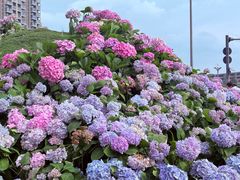 -首开·龙湖成都西宸天街