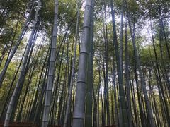 -陶祖圣境风景区