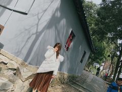 -香雪海