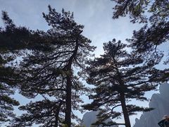 -黄山风景区