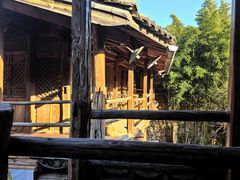 -田德能咖啡博物馆