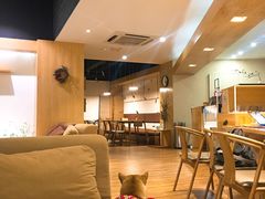 -柴务处·柴犬主题狗咖