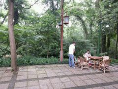 -龙井壹号·茶缘山景宴(龙井村店)