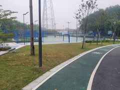 -王借岗森林公园