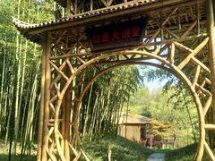 -黄海国家森林公园