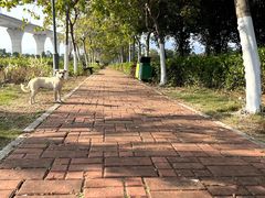 -琅岐红光湖公园