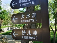 -阳台山自然风景区