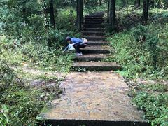 -山王坪喀斯特国家生态公园