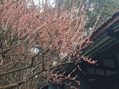 -成都杜甫草堂博物馆