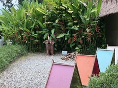 -大象粑粑造纸公园