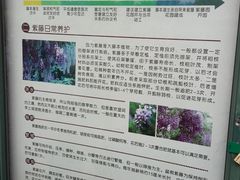 -嘉定紫藤园