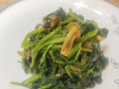 小蘑菇调菠菜-西北45°(世茂广场店)