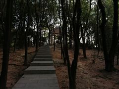 -火炉山森林公园