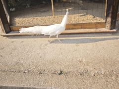 -天目湖涵田度假村