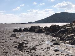 -洋山深水港