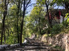 -阳台山自然风景区