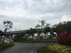 -宝安西湾红树林湿地公园