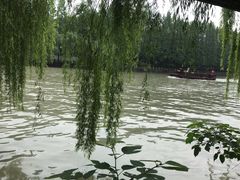 -运河游船(武林门码头)