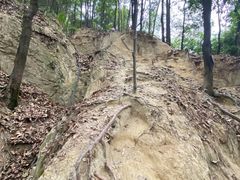 -火炉山森林公园