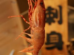 -北上海大酒店-北鸥西餐厅