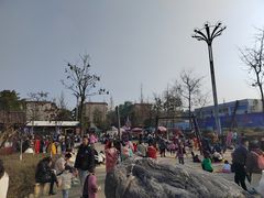 -成飞公园