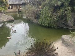 -南昌动物园