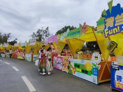 -荷兰花海