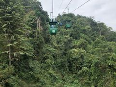 -野象谷景区