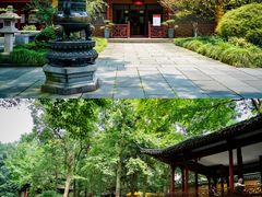 -灵隐飞来峰景区