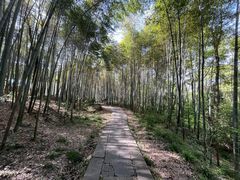 -青龙山国家森林公园